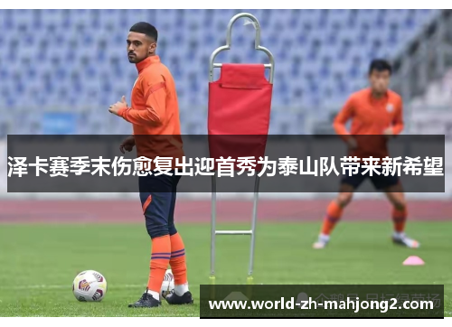 泽卡赛季末伤愈复出迎首秀为泰山队带来新希望 泽卡赛季末伤愈复出迎首秀为泰山队带来新希望